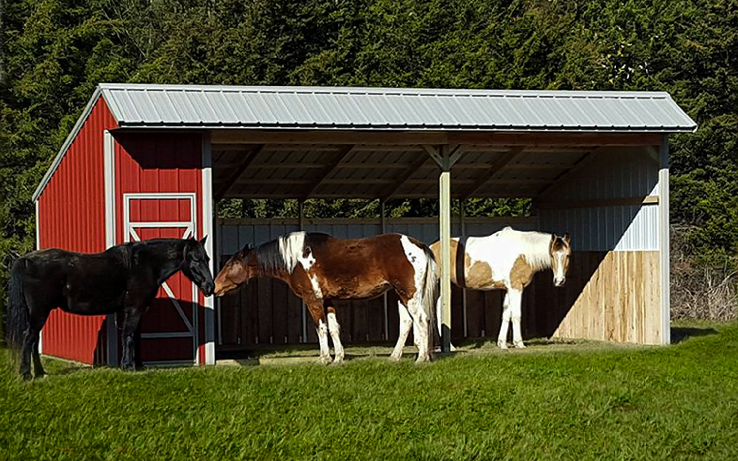 crestwood storage barns horse sheds
