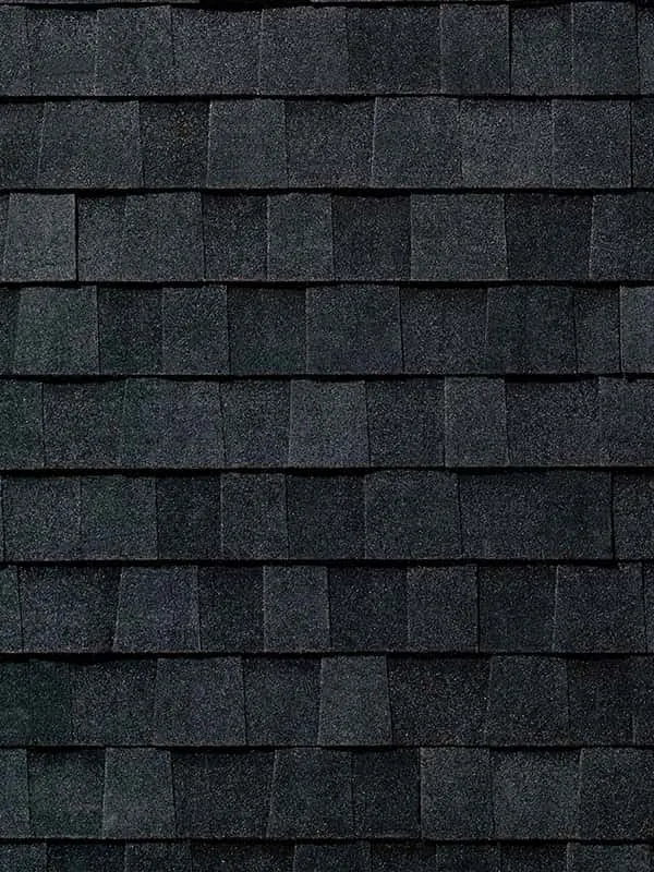 heritage series rustic black phillipsburg color swatch