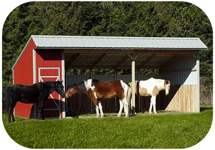 horse sheds menu 2